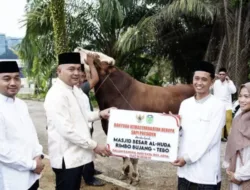 Ketua DPRD Tebo Khalis Mustiko Hadiri Penyerahan Bantuan Sapi Kurban Presiden RI di Rimbo Bujang