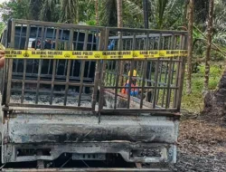 Sopir Bantah Tudingan Mobil Gunakan Nopol Palsu dan Angkut Solar