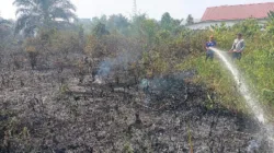 Siang Bolong, Lahan Belakang Kampus Universitas Islam Tebo Dilalap Api