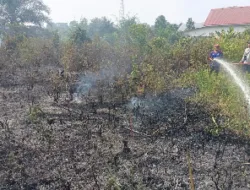 Siang Bolong, Lahan Belakang Kampus Universitas Islam Tebo Dilalap Api