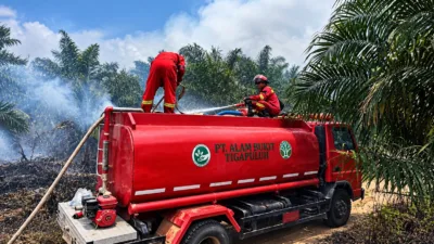 PT ABT Buka Suara Soal Karhutla, Luasan Terbakar Belum Bisa Dipastikan