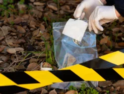 Bareskrim Gerebek 9 Lokasi Rawan Narkoba di Sumut, 36 Orang Diamankan dan Sabu 102 Gram Disita