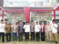 Wakil Bupati Tebo Nazar Efendi Hadiri Gerakan Pangan Murah Serentak Nasional di Pulau Temiang